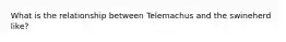 What is the relationship between Telemachus and the swineherd like?