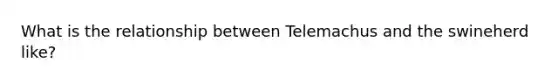 What is the relationship between Telemachus and the swineherd like?