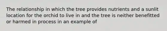 The relationship in which the tree provides nutrients and a sunlit location for the orchid to live in and the tree is neither benefitted or harmed in process in an example of