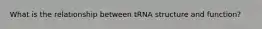 What is the relationship between tRNA structure and function?