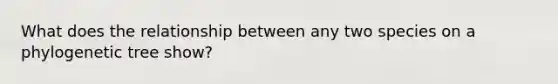 What does the relationship between any two species on a phylogenetic tree show?