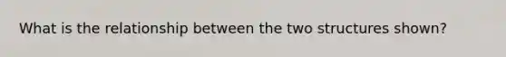 What is the relationship between the two structures shown?