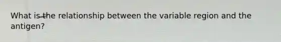 What is the relationship between the variable region and the antigen?