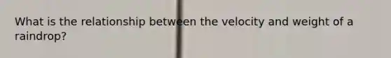 What is the relationship between the velocity and weight of a raindrop?