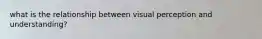 what is the relationship between visual perception and understanding?