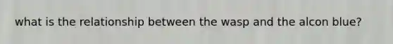 what is the relationship between the wasp and the alcon blue?