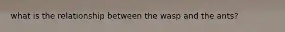 what is the relationship between the wasp and the ants?
