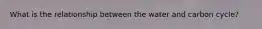 What is the relationship between the water and carbon cycle?
