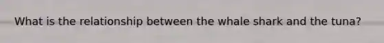 What is the relationship between the whale shark and the tuna?