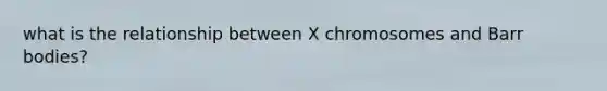 what is the relationship between X chromosomes and Barr bodies?