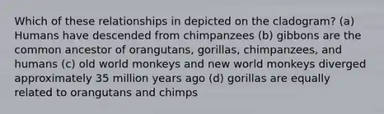 Which of these relationships in depicted on the cladogram? (a) Humans have descended from chimpanzees (b) gibbons are the common ancestor of orangutans, gorillas, chimpanzees, and humans (c) old world monkeys and new world monkeys diverged approximately 35 million years ago (d) gorillas are equally related to orangutans and chimps