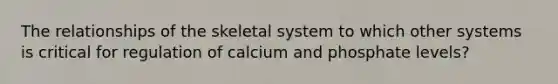 The relationships of the skeletal system to which other systems is critical for regulation of calcium and phosphate levels?