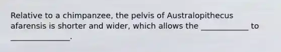 Relative to a chimpanzee, the pelvis of Australopithecus afarensis is shorter and wider, which allows the ____________ to _______________.