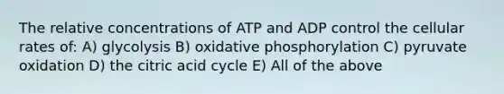 The relative concentrations of ATP and ADP control the cellular rates of: A) glycolysis B) oxidative phosphorylation C) pyruvate oxidation D) the citric acid cycle E) All of the above