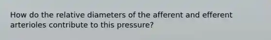 How do the relative diameters of the afferent and efferent arterioles contribute to this pressure?