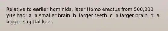 Relative to earlier hominids, later Homo erectus from 500,000 yBP had: a. a smaller brain. b. larger teeth. c. a larger brain. d. a bigger sagittal keel.