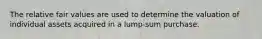 The relative fair values are used to determine the valuation of individual assets acquired in a lump-sum purchase.