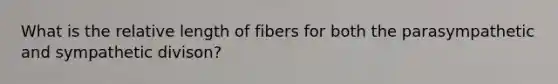 What is the relative length of fibers for both the parasympathetic and sympathetic divison?