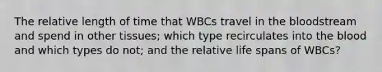 The relative length of time that WBCs travel in the bloodstream and spend in other tissues; which type recirculates into the blood and which types do not; and the relative life spans of WBCs?