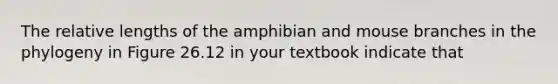 The relative lengths of the amphibian and mouse branches in the phylogeny in Figure 26.12 in your textbook indicate that