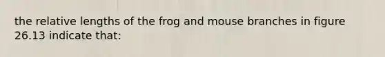 the relative lengths of the frog and mouse branches in figure 26.13 indicate that: