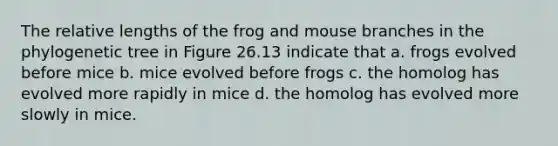 The relative lengths of the frog and mouse branches in the phylogenetic tree in Figure 26.13 indicate that a. frogs evolved before mice b. mice evolved before frogs c. the homolog has evolved more rapidly in mice d. the homolog has evolved more slowly in mice.