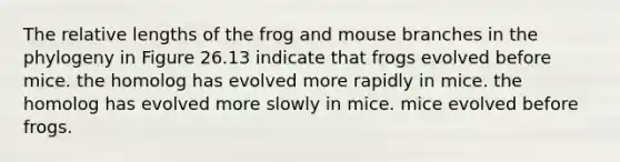 The relative lengths of the frog and mouse branches in the phylogeny in Figure 26.13 indicate that frogs evolved before mice. the homolog has evolved more rapidly in mice. the homolog has evolved more slowly in mice. mice evolved before frogs.