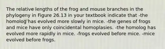 The relative lengths of the frog and mouse branches in the phylogeny in Figure 26.13 in your textbook indicate that -the homolog has evolved more slowly in mice. -the genes of frogs and mice have only coincidental homoplasies. -the homolog has evolved more rapidly in mice. -frogs evolved before mice. -mice evolved before frogs.