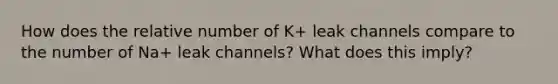 How does the relative number of K+ leak channels compare to the number of Na+ leak channels? What does this imply?