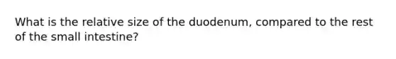 What is the relative size of the duodenum, compared to the rest of the small intestine?