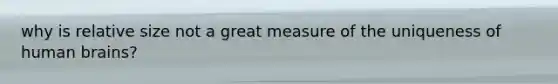 why is relative size not a great measure of the uniqueness of human brains?