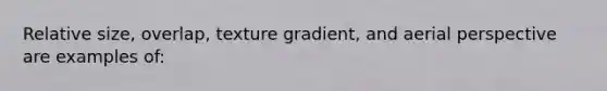 Relative size, overlap, texture gradient, and aerial perspective are examples of: