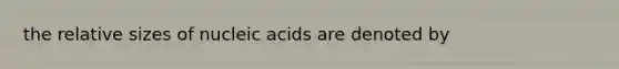 the relative sizes of nucleic acids are denoted by