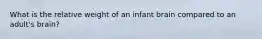 What is the relative weight of an infant brain compared to an adult's brain?