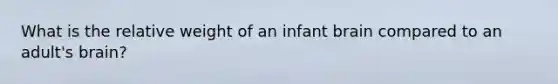 What is the relative weight of an infant brain compared to an adult's brain?