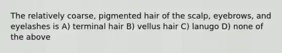 The relatively coarse, pigmented hair of the scalp, eyebrows, and eyelashes is A) terminal hair B) vellus hair C) lanugo D) none of the above