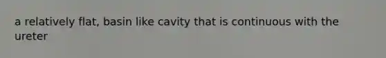 a relatively flat, basin like cavity that is continuous with the ureter