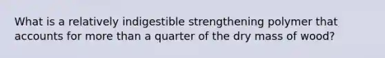 What is a relatively indigestible strengthening polymer that accounts for more than a quarter of the dry mass of wood?