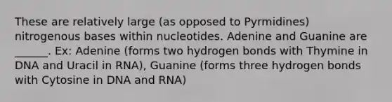 These are relatively large (as opposed to Pyrmidines) nitrogenous bases within nucleotides. Adenine and Guanine are ______. Ex: Adenine (forms two hydrogen bonds with Thymine in DNA and Uracil in RNA), Guanine (forms three hydrogen bonds with Cytosine in DNA and RNA)