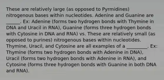 These are relatively large (as opposed to Pyrmidines) nitrogenous bases within nucleotides. Adenine and Guanine are ______. Ex: Adenine (forms two <a href='https://www.questionai.com/knowledge/kZ0eOQzIqC-hydrogen-bonds' class='anchor-knowledge'>hydrogen bonds</a> with Thymine in DNA and Uracil in RNA), Guanine (forms three hydrogen bonds with Cytosine in <a href='https://www.questionai.com/knowledge/kMOJ8i4uYe-dna-and-rna' class='anchor-knowledge'>dna and rna</a>) vs. These are relatively small (as opposed to purines) nitrogenous bases within nucleotides. Thymine, Uracil, and Cytosine are all examples of a _________. Ex: Thymine (forms two hydrogen bonds with Adenine in DNA), Uracil (forms two hydrogen bonds with Adenine in RNA), and Cytosine (forms three hydrogen bonds with Guanine in both DNA and RNA).