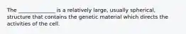 The ______________ is a relatively large, usually spherical, structure that contains the genetic material which directs the activities of the cell.