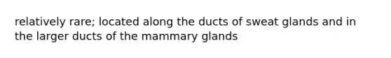 relatively rare; located along the ducts of sweat glands and in the larger ducts of the mammary glands