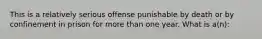 This is a relatively serious offense punishable by death or by confinement in prison for more than one year. What is a(n):