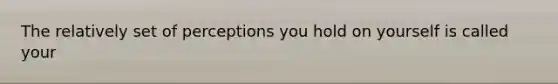 The relatively set of perceptions you hold on yourself is called your