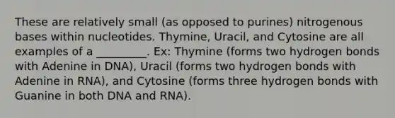 These are relatively small (as opposed to purines) nitrogenous bases within nucleotides. Thymine, Uracil, and Cytosine are all examples of a _________. Ex: Thymine (forms two hydrogen bonds with Adenine in DNA), Uracil (forms two hydrogen bonds with Adenine in RNA), and Cytosine (forms three hydrogen bonds with Guanine in both DNA and RNA).