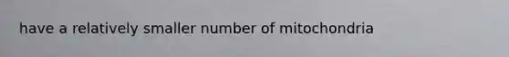 have a relatively smaller number of mitochondria