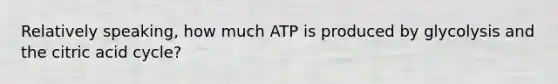 Relatively speaking, how much ATP is produced by glycolysis and the citric acid cycle?