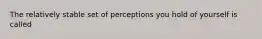 The relatively stable set of perceptions you hold of yourself is called