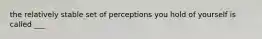 the relatively stable set of perceptions you hold of yourself is called ___