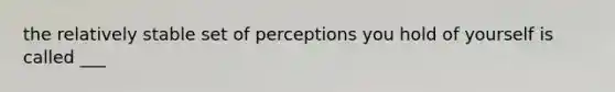 the relatively stable set of perceptions you hold of yourself is called ___